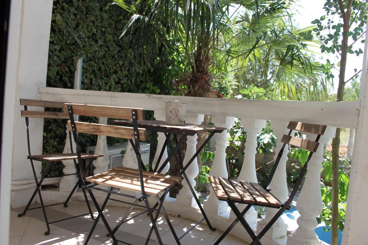 Apartmani Dienes نوفي فينودولسكي المظهر الخارجي الصورة